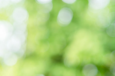 Full frame shot of blurred background