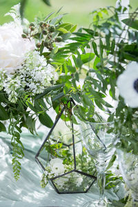 Close-up of white flowers