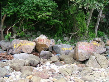 Rocks on tree stump