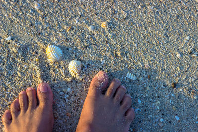 Low section of woman standing on wet sand