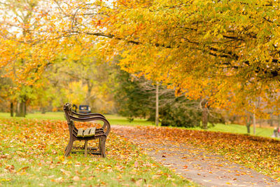 Empty bench in park during autumn