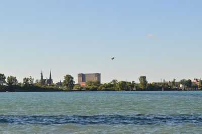 Birds flying over sea by city against clear sky