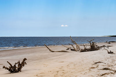 Driftwood on beach against sky