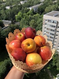 High angle view of hand holding fruits