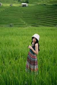 paddy field