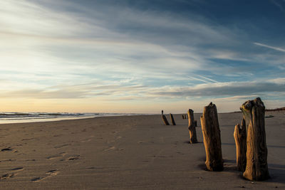 Wooden posts on beach against sky