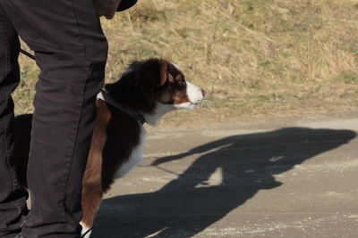 Man with dog standing on street