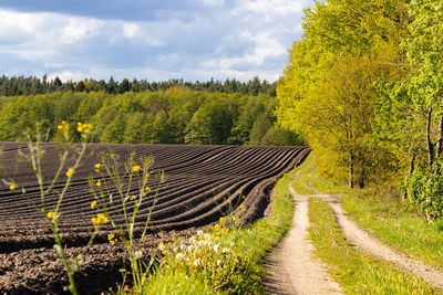 Scenic view of field against sky