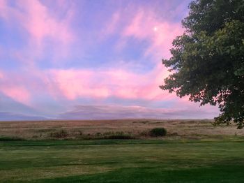 Scenic view of grassy field against cloudy sky