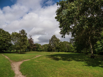 Scenic view of trees on landscape against sky