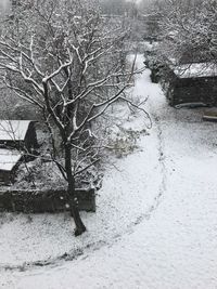 Bare tree on snow covered landscape