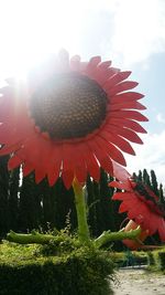 View of plants against sky