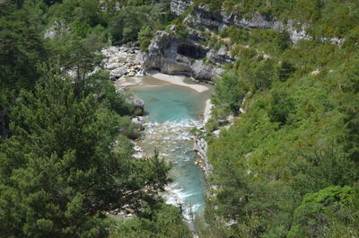 Scenic view of river amidst trees