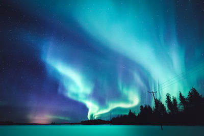 Low angle view of silhouette trees against sky at night