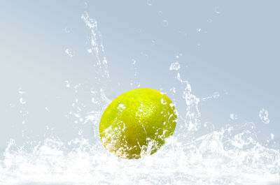 Close-up of water drops on glass against white background