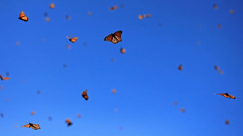 Low angle view of parachute flying in sky