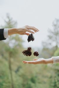 Midsection of woman holding plant