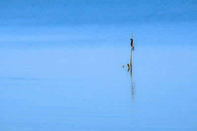 Wind turbines in sea against blue sky