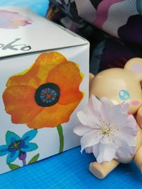 Close-up of various flowers on table