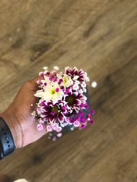 Close-up of hand holding purple flowering plant