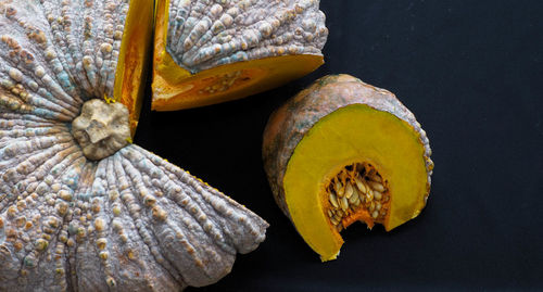 Close-up of seashell on leaf against black background