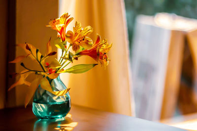 Close-up of flower vase on table at home