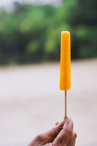 Close-up of hand holding ice cream