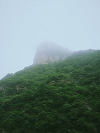 Landscape with mountain range in background