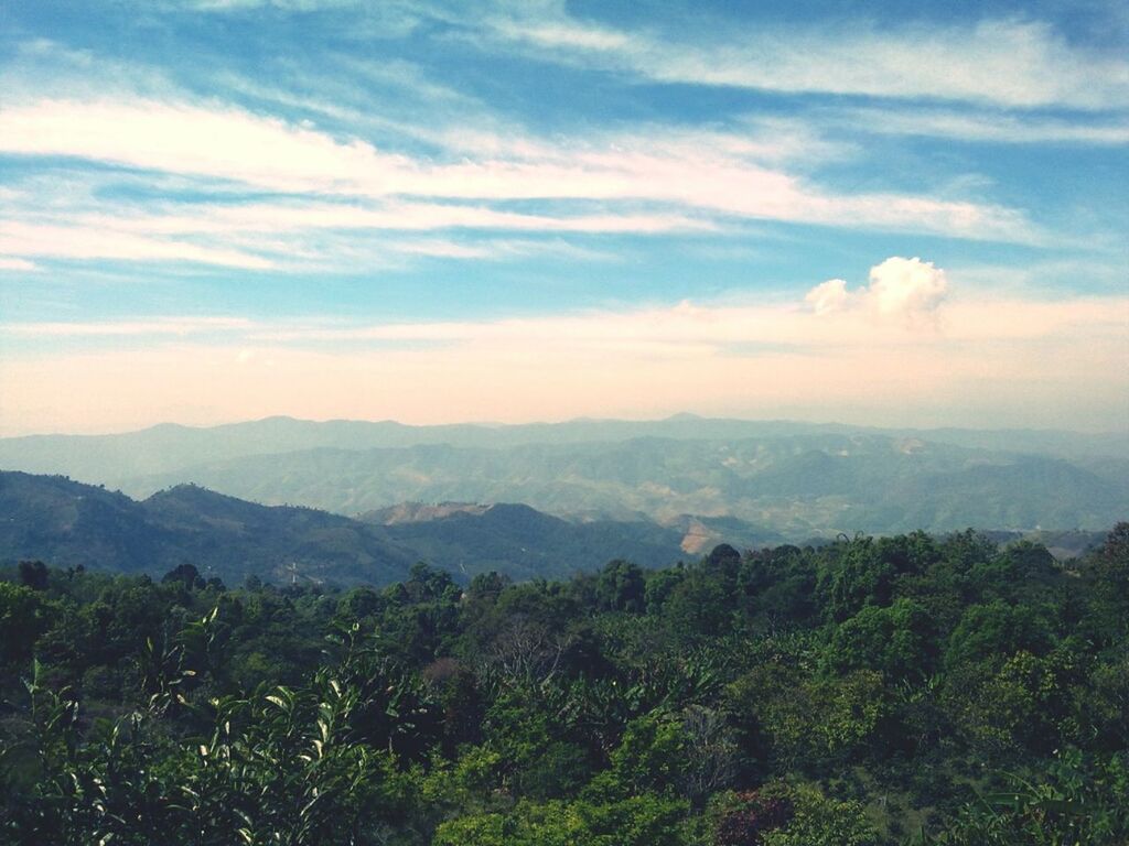 tranquil scene, scenics, beauty in nature, tranquility, mountain, sky, landscape, nature, cloud - sky, mountain range, tree, idyllic, cloud, high angle view, growth, non-urban scene, outdoors, cloudy, no people, day