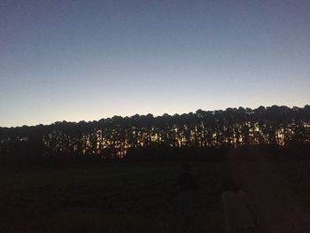 Silhouette trees on field against clear sky