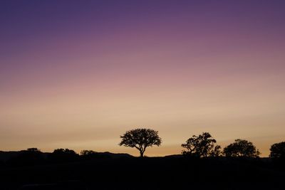 Silhouette trees on field against sky at sunset