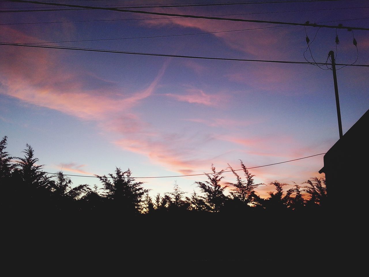 silhouette, sunset, sky, tranquility, tree, nature, beauty in nature, tranquil scene, scenics, low angle view, growth, power line, cloud - sky, plant, orange color, outdoors, no people, cloud, idyllic, dusk