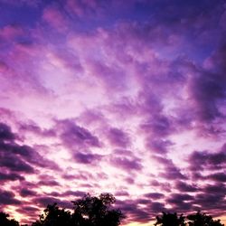 Low angle view of silhouette trees against dramatic sky