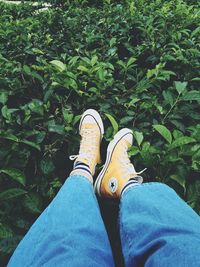 Low section of man against plants