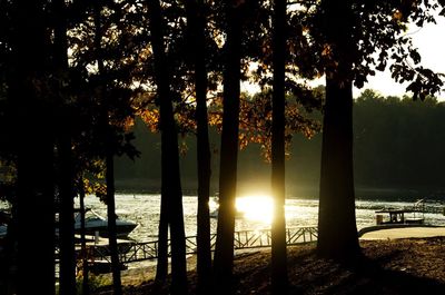 Silhouette trees by lake against sky during sunset