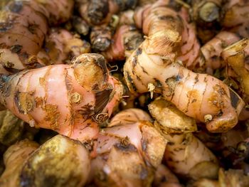 Close-up of vegetables for sale in market