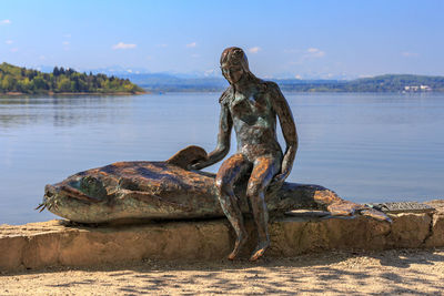 Driftwood on rock by sea against sky