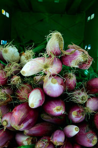 Close-up of turnips in crate