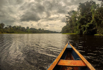 Scenic view of lake in forest against sky