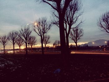 Bare trees on landscape at sunset