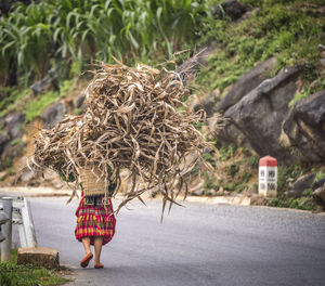 Rear view of woman walking on road by tree