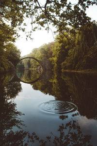 Reflection of trees in lake against sky