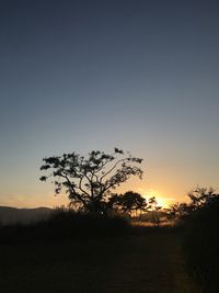 Silhouette trees on field against sky during sunset