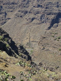 Scenic view of land