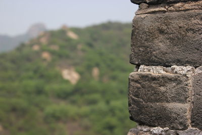 Close-up of stone wall
