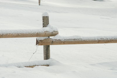 Close-up of snow covered land