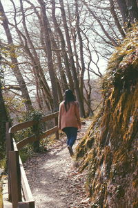 Rear view of man walking on footpath in forest