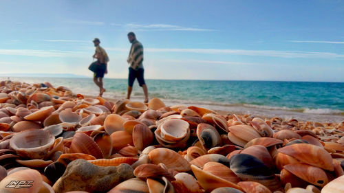 Rear view of people at beach against sky