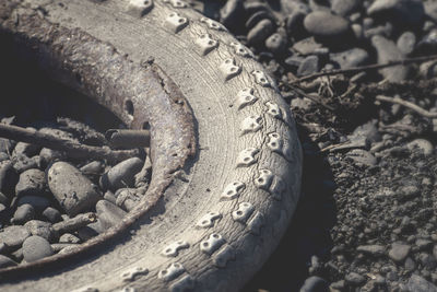 High angle view of abandoned tire on field