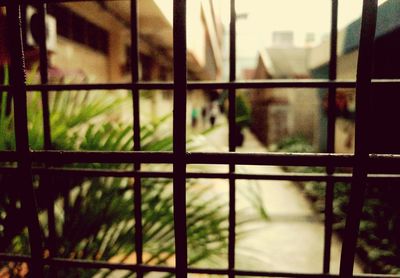 Close-up of dog in cage